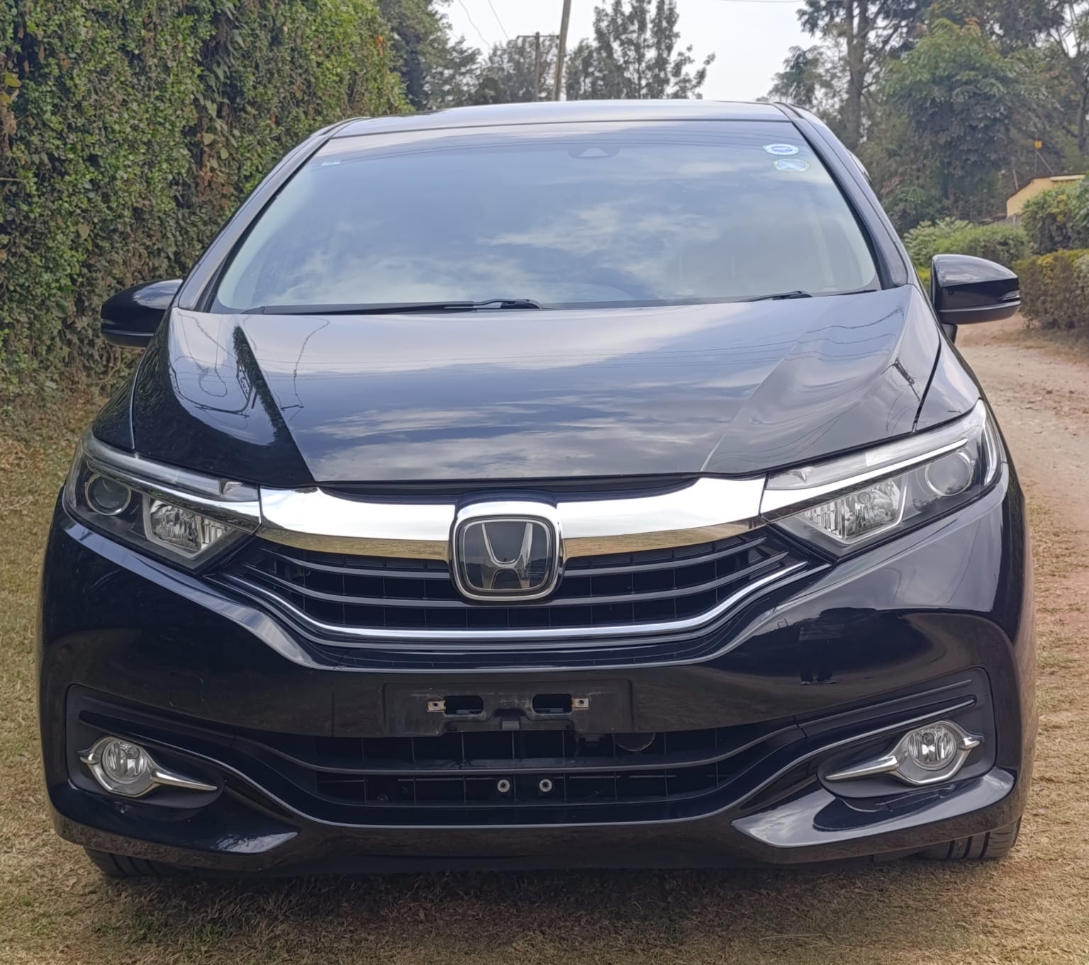 Honda Shuttle 2019