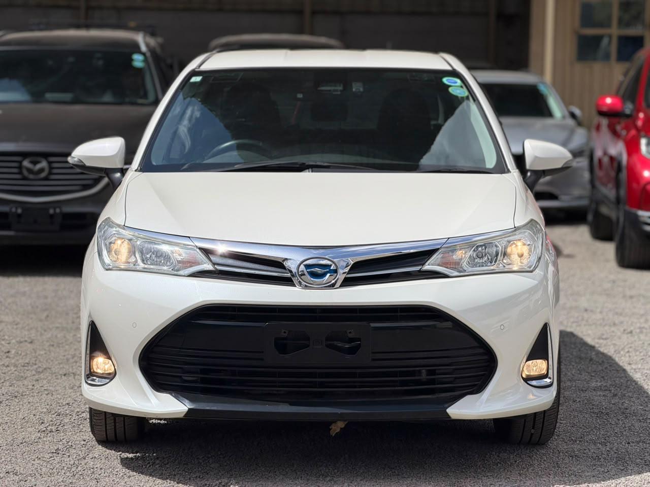 Toyota Axio 2019